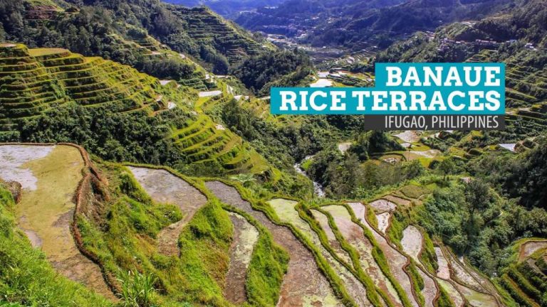 The Beauty of Banaue Rice Terraces