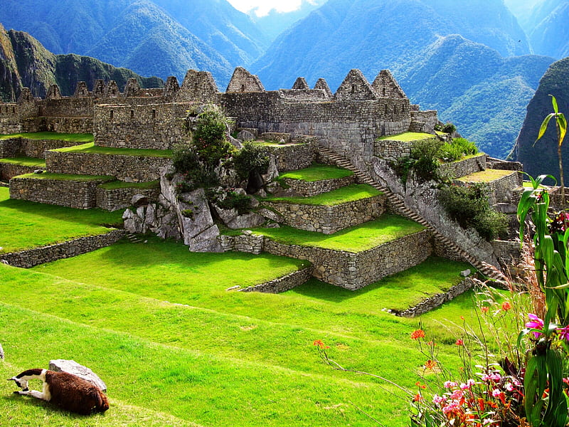 Machu Picchu