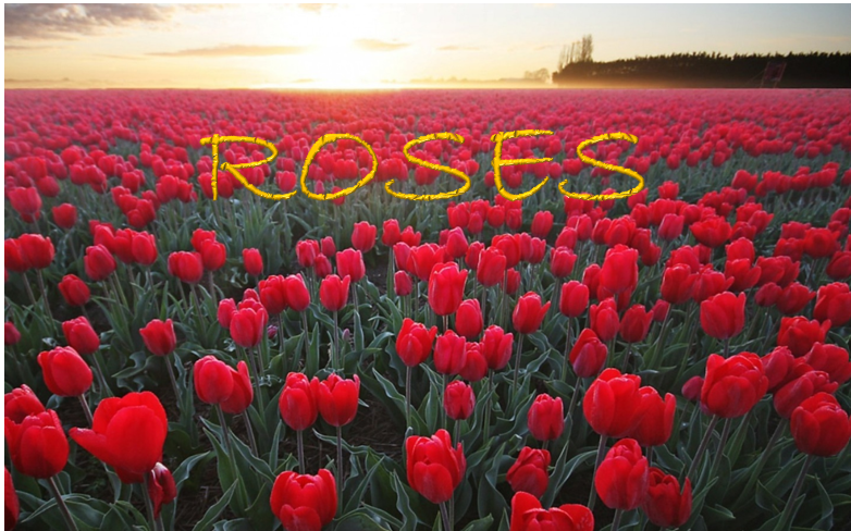 ROSES